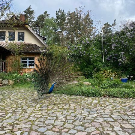 Senfmuehle Lubast Apartman Kültér fotó
